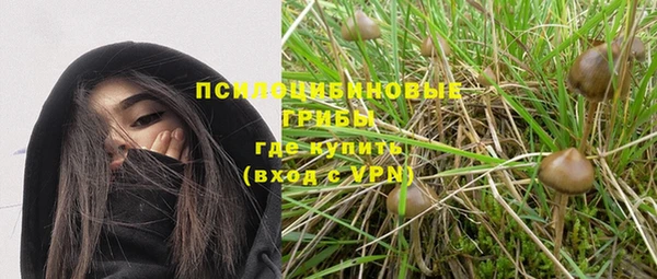 дмт Алексин