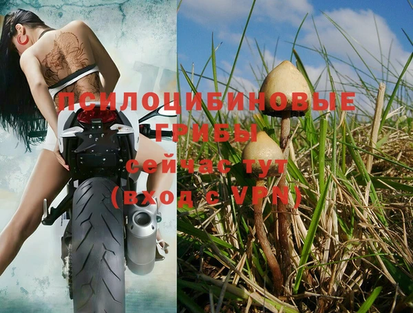 дмт Алексин