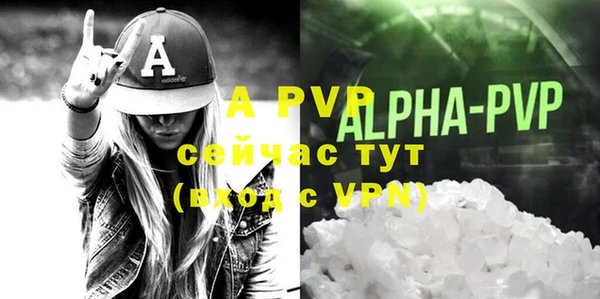 ПСИЛОЦИБИНОВЫЕ ГРИБЫ Горняк