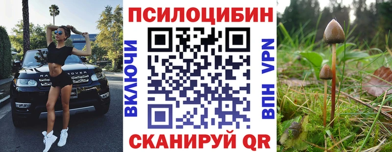 купить  цена  Починок  Галлюциногенные грибы мицелий 